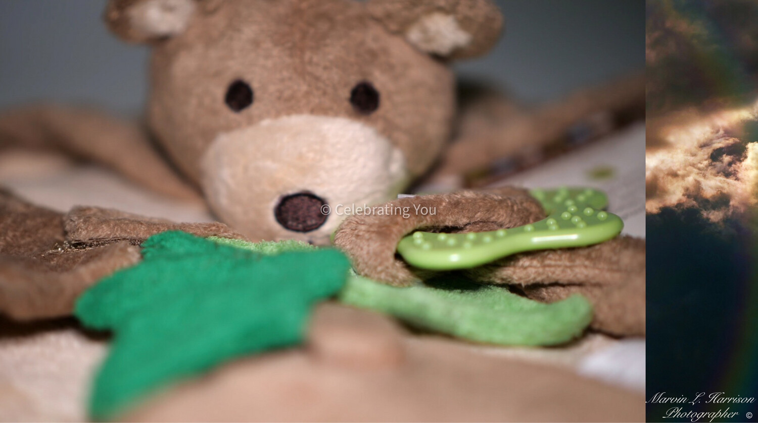 Celebrating You Lavender Aromatherapy Benji Bear
