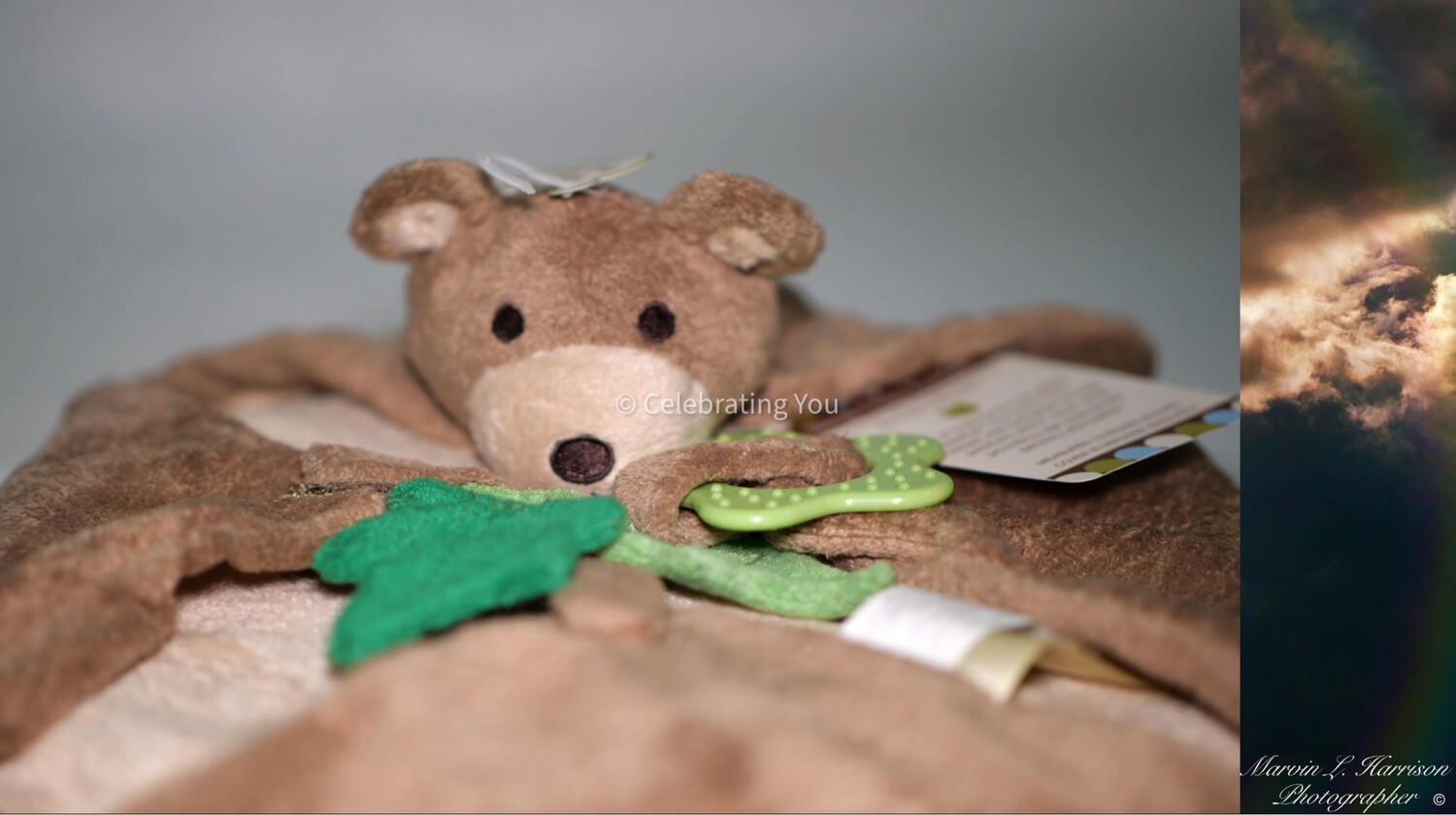 Celebrating You Lavender Aromatherapy Benji Bear