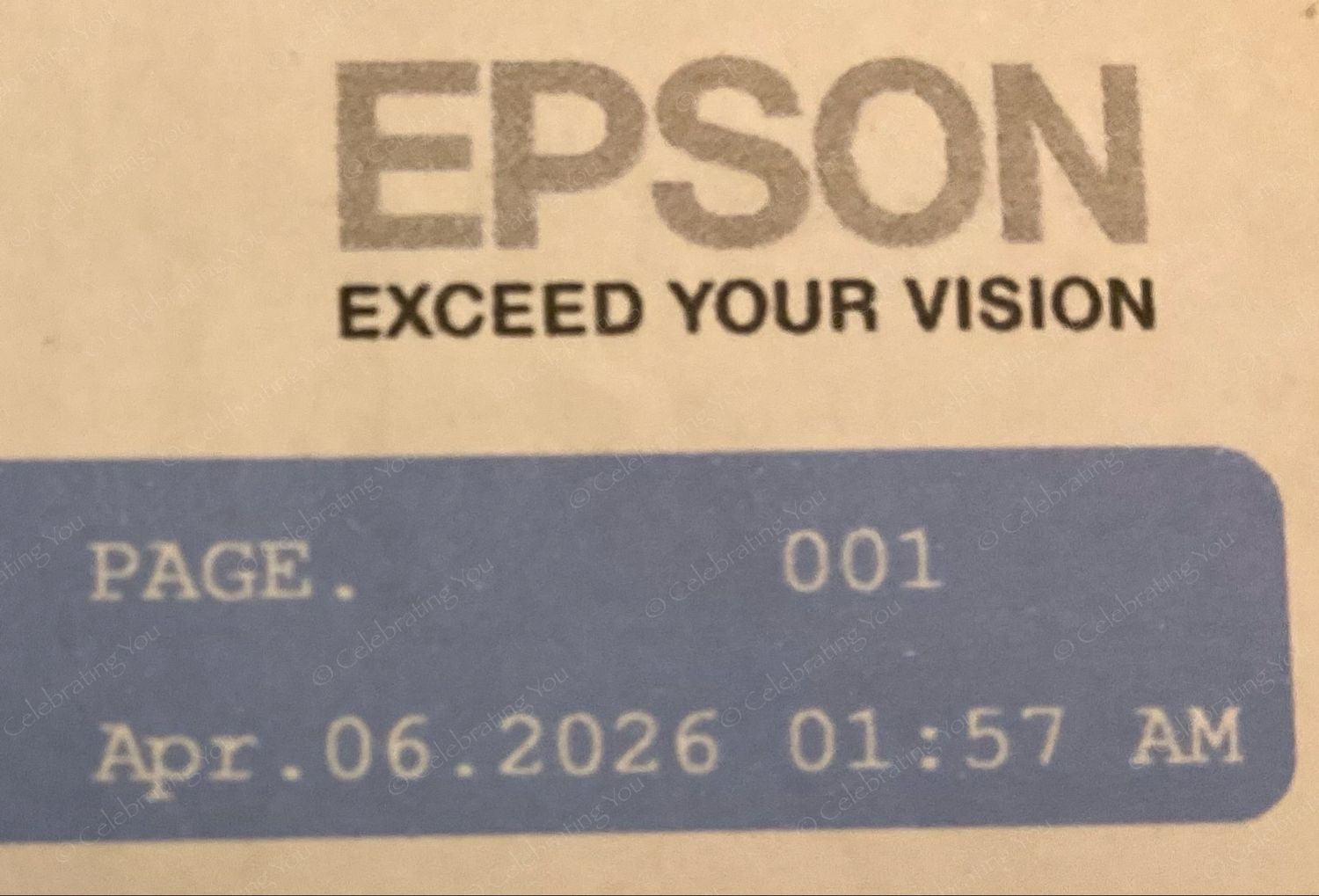 Epson SureColor P800 17" Inkjet Color Printer - with Optional 17" Roller Media Device. Support for 2" and 3" cores. Used, Very Good Condition