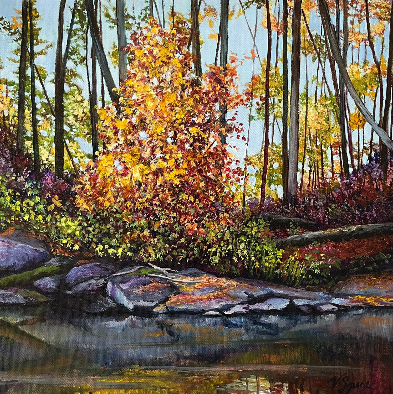 Autumn Glory