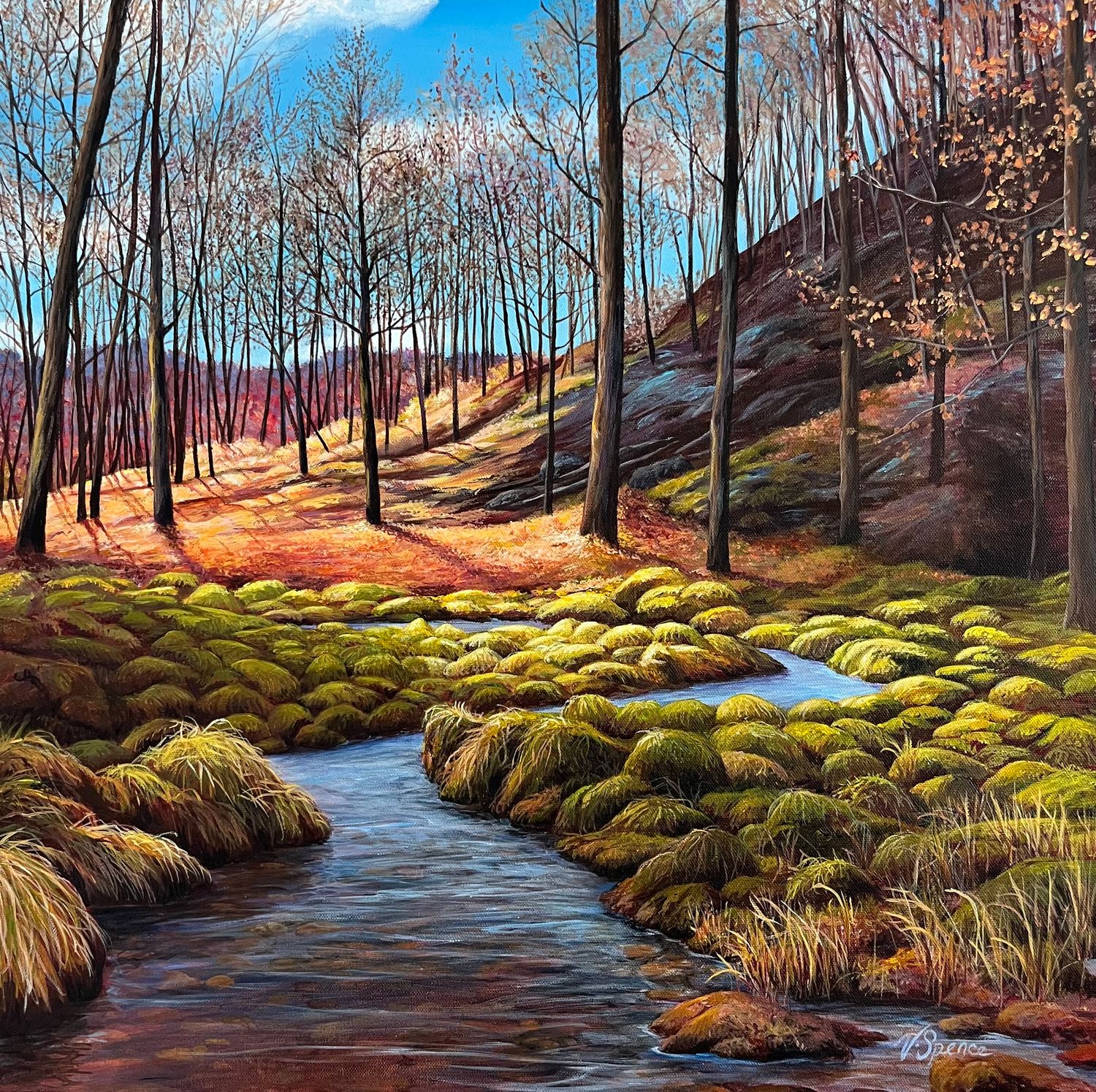 Doe Lake Trail