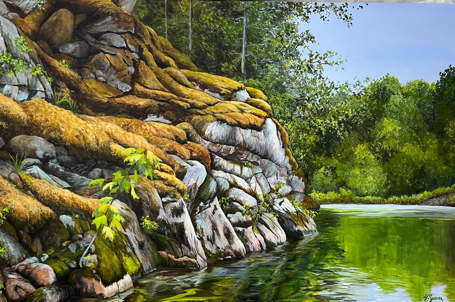 Nature&#39;s Embrace