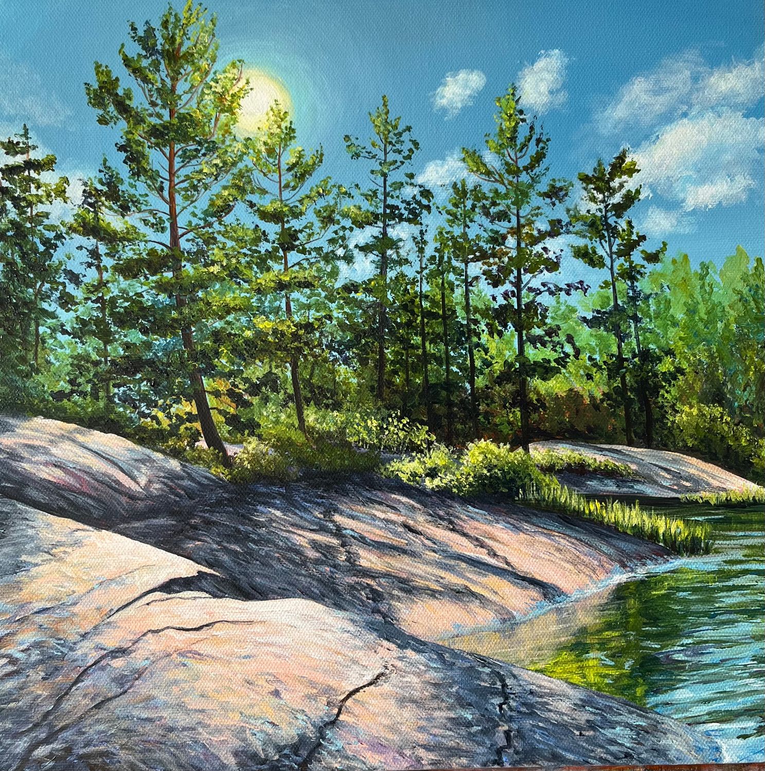 Summer Sun