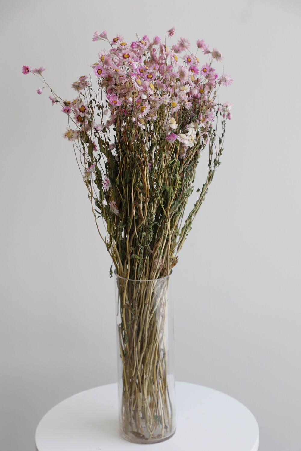Dry pink Flowers