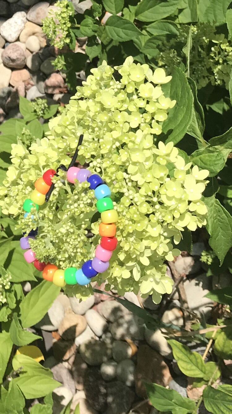 Rainbow Bracelet