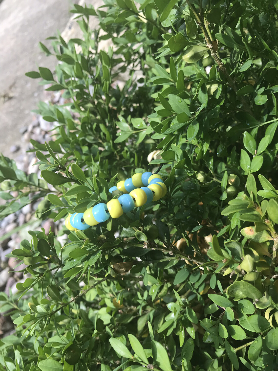 Blue And Yellow Bracelet