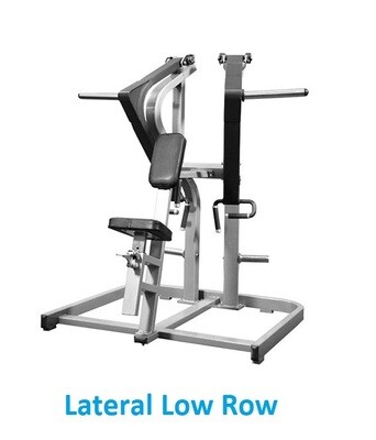 Lateral Low Row