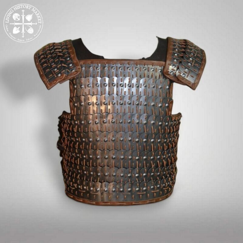 Ostolopovskoe armor - Khazar / Rus / Nomadics  - 10/13 century