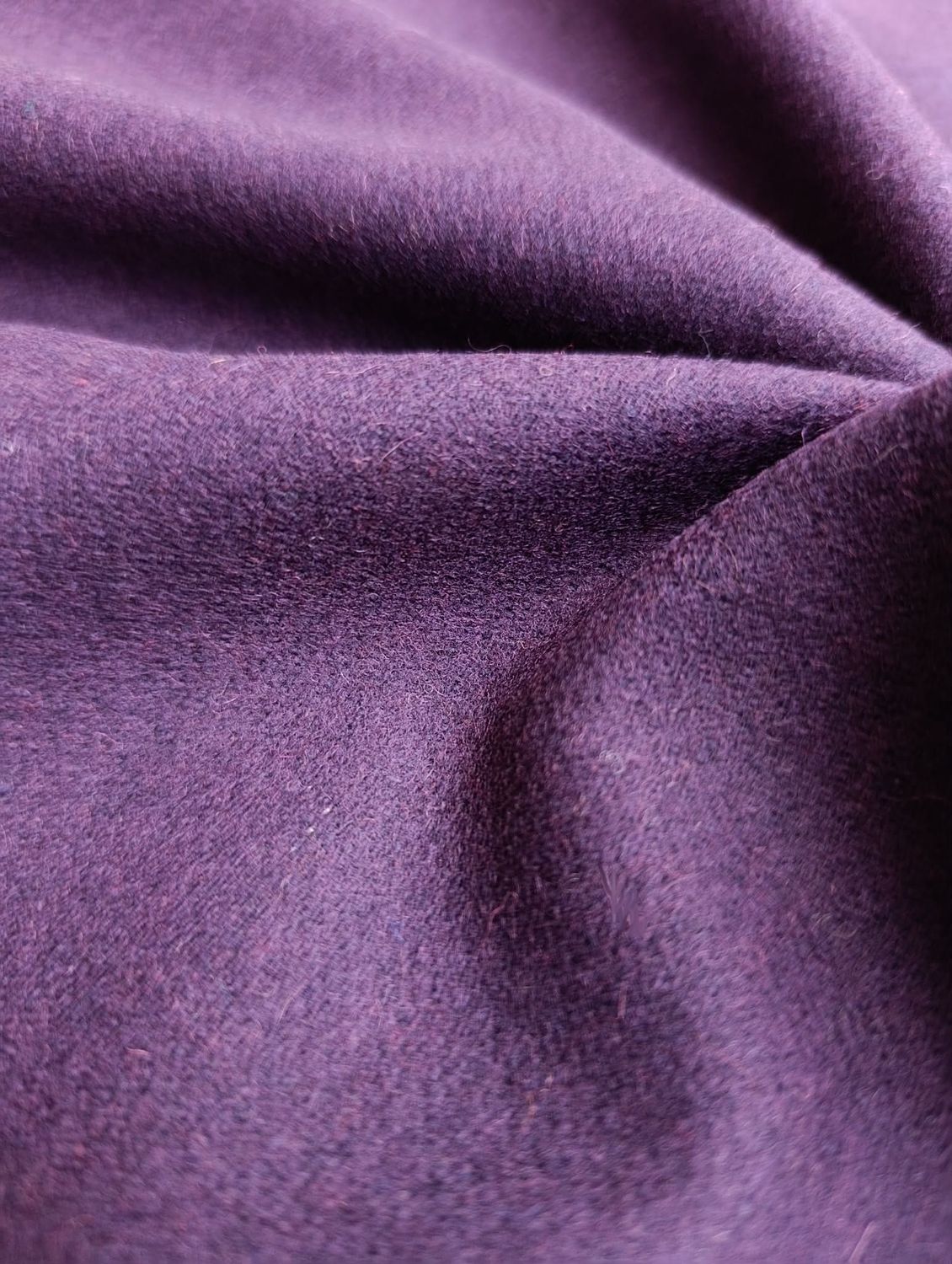 Wool - W22