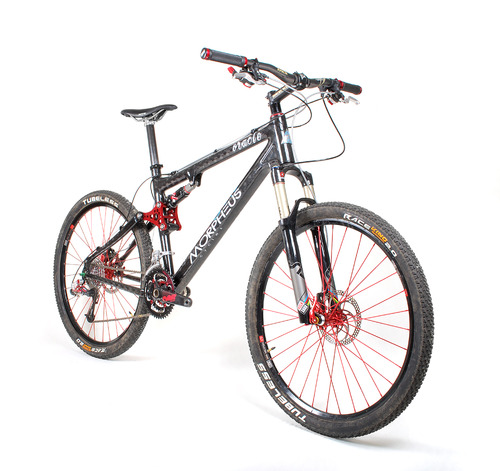 Morpheus Oracle - Frameset