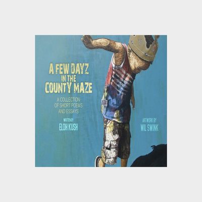 A Few Dayz in the County Maze