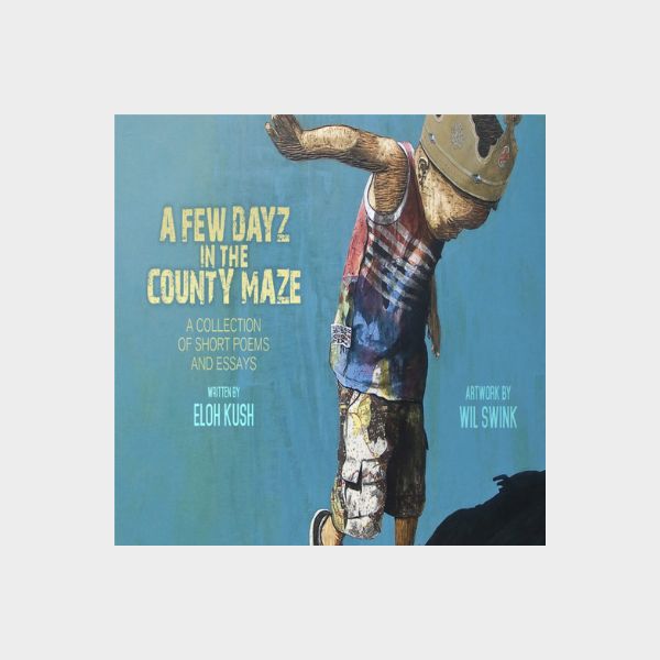 A Few Dayz in the County Maze