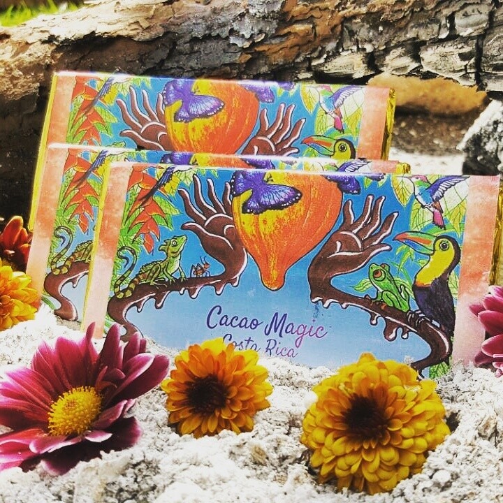 10 x Organic 100% Cacao Bars (90gr / 3oz)