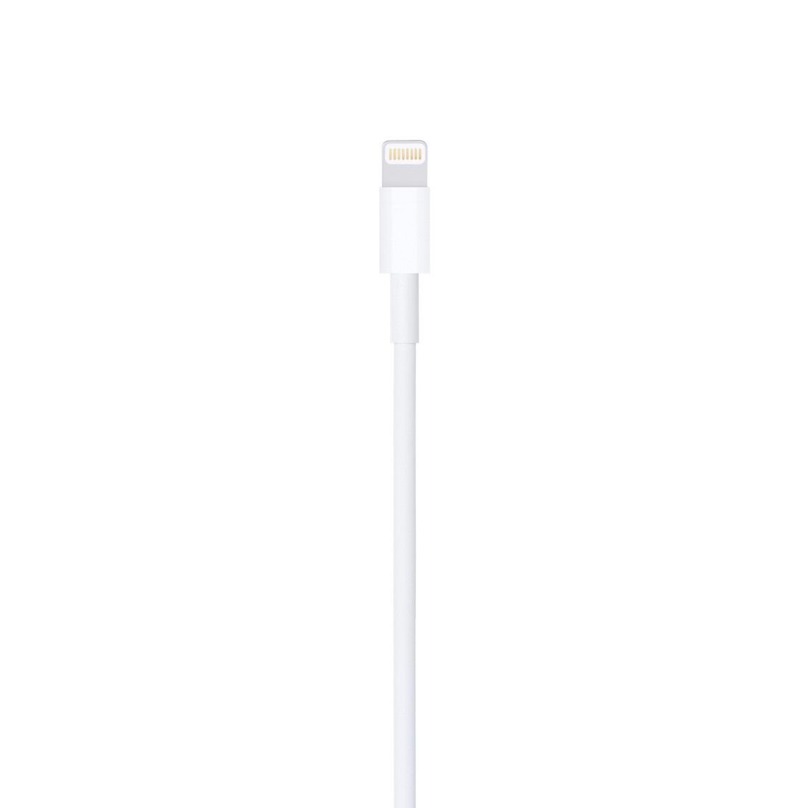 USB-C to Lightning Cable (2 m)