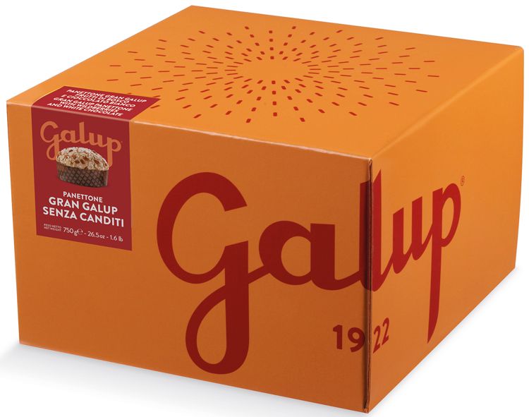 Panettone ohne kandierte Früchte Colorfully Edition Panettone ohne kandierte Früchte Colorfully Edition