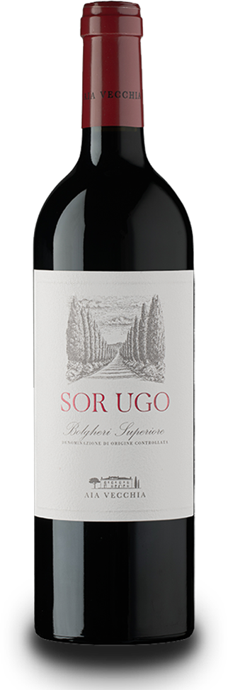 Sor Ugo Bolgheri Superiore DOC