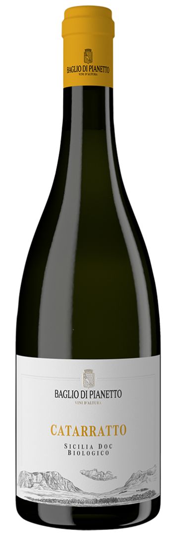 Catarratto Sicilia DOC