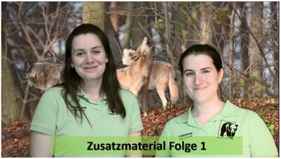Zusatzmaterial Interaktive Lehrvideoreihe Wolf Folge 1