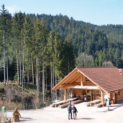 Wolf- und Bärenpark Schwarzwald