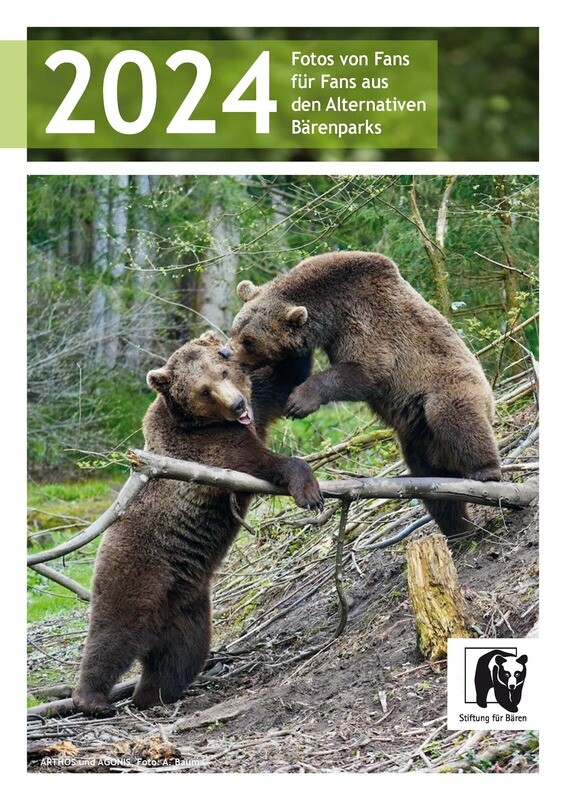 Bear calendar 2024