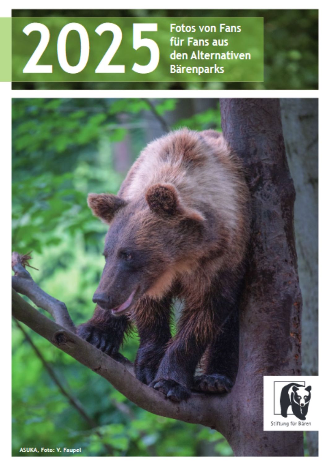 Bear calendar 2025
