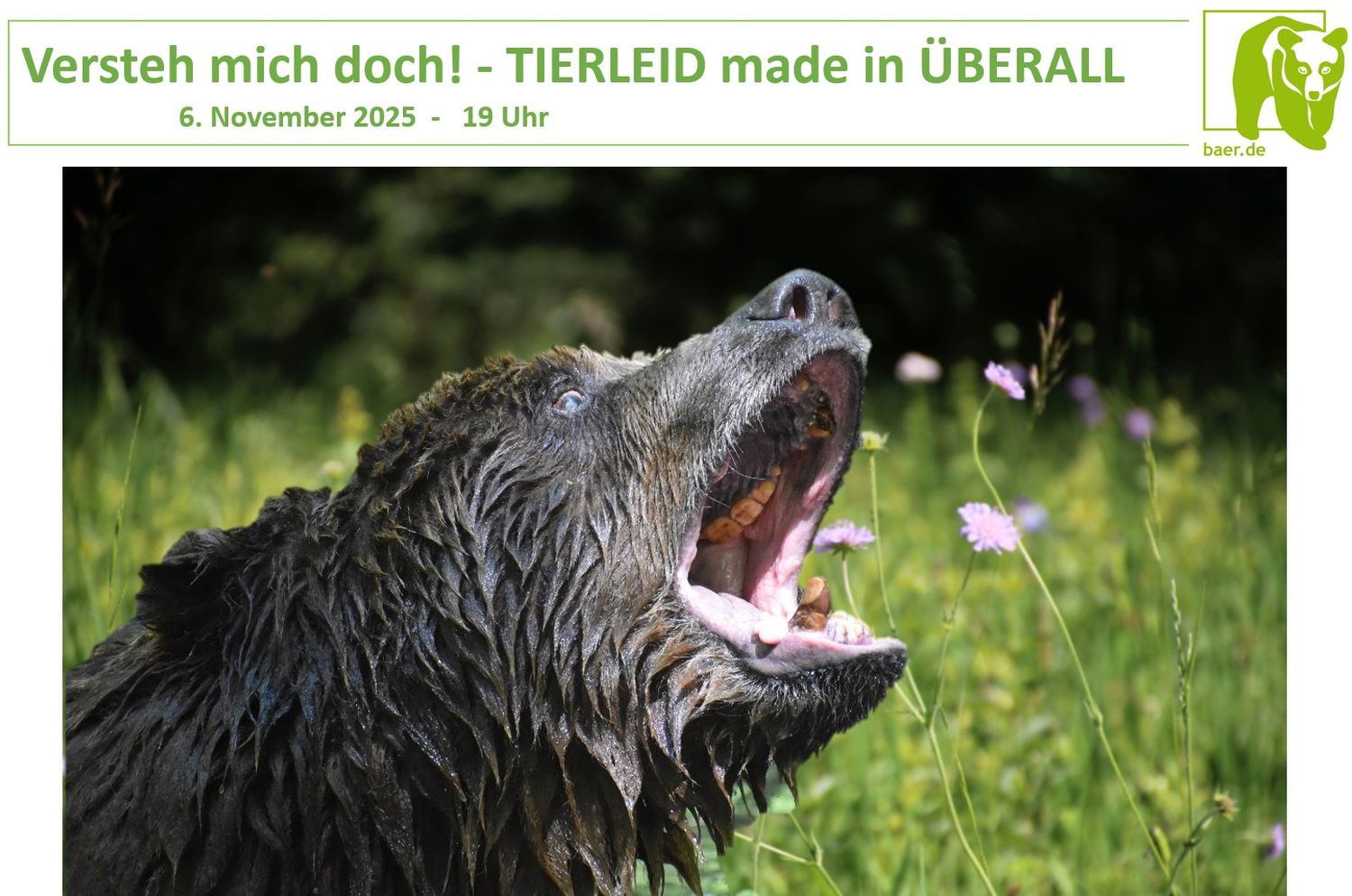 Versteh mich doch! - TIERLEID made in ÜBERALL  -  6.11.25
