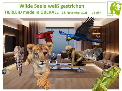 Wilde Seele weiß gestrichen - TIERLEID made in ÜBERALL - 13.11.25