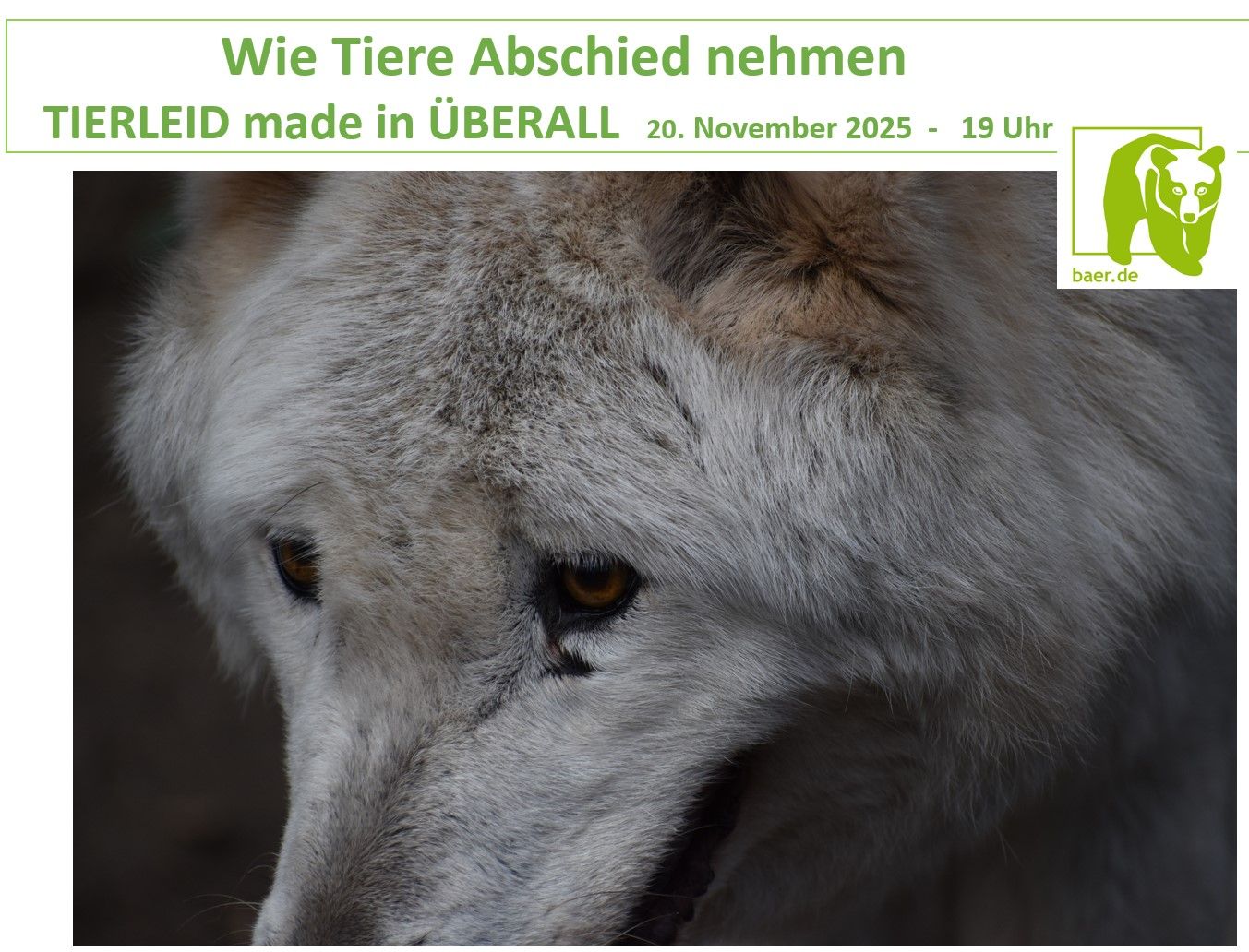 Wie Tiere Abschied nehmen - TIERLEID made in ÜBERALL - 20.11.25