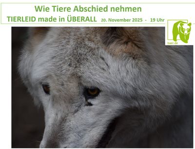 Wie Tiere Abschied nehmen - TIERLEID made in ÜBERALL - 20.11.25