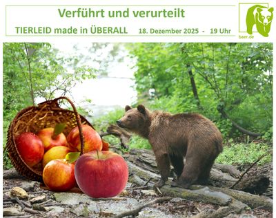 Verführt und verurteilt - TIERLEID made in ÜBERALL 18.12.25