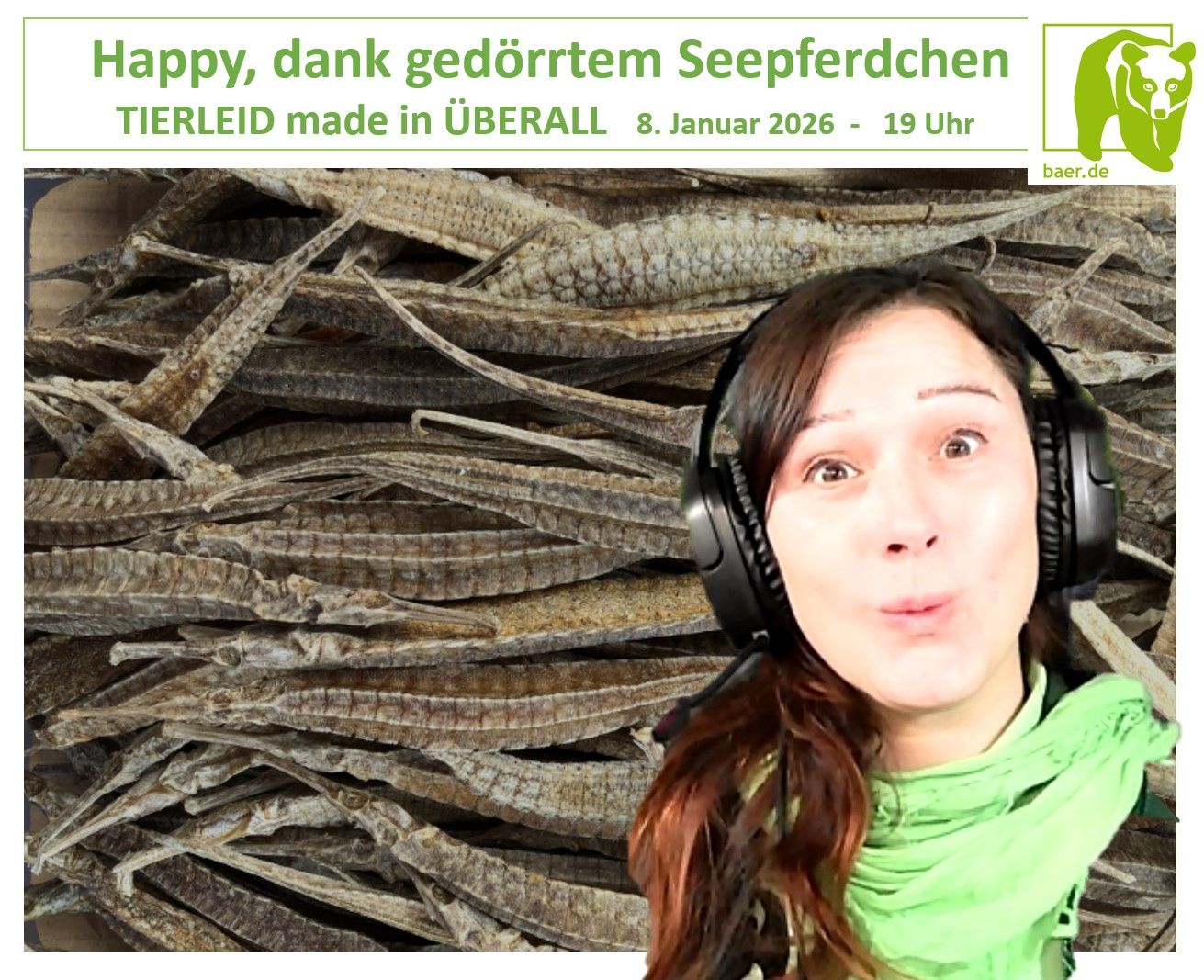 Happy, dank gedörrtem Seepferdchen - TIERLEID made in ÜBERALL - 8.1.26