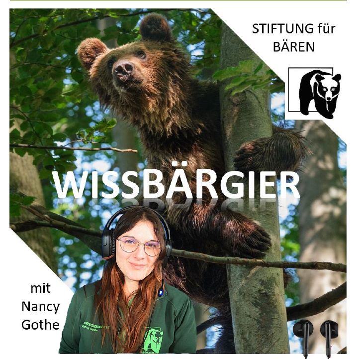 Podcast WissBärGier Folge 3: Der Amerikanisch Schwarzbär - schnell und geschickter Schlaukopf