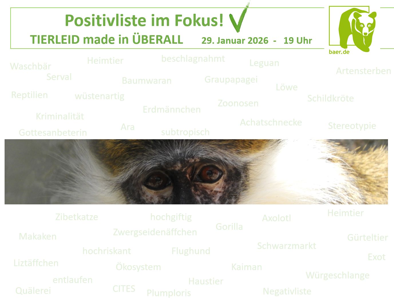 Positivliste im Fokus! TIERLEID made in ÜBERALL