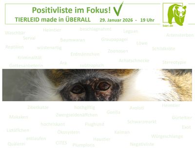 Positivliste im Fokus! TIERLEID made in ÜBERALL