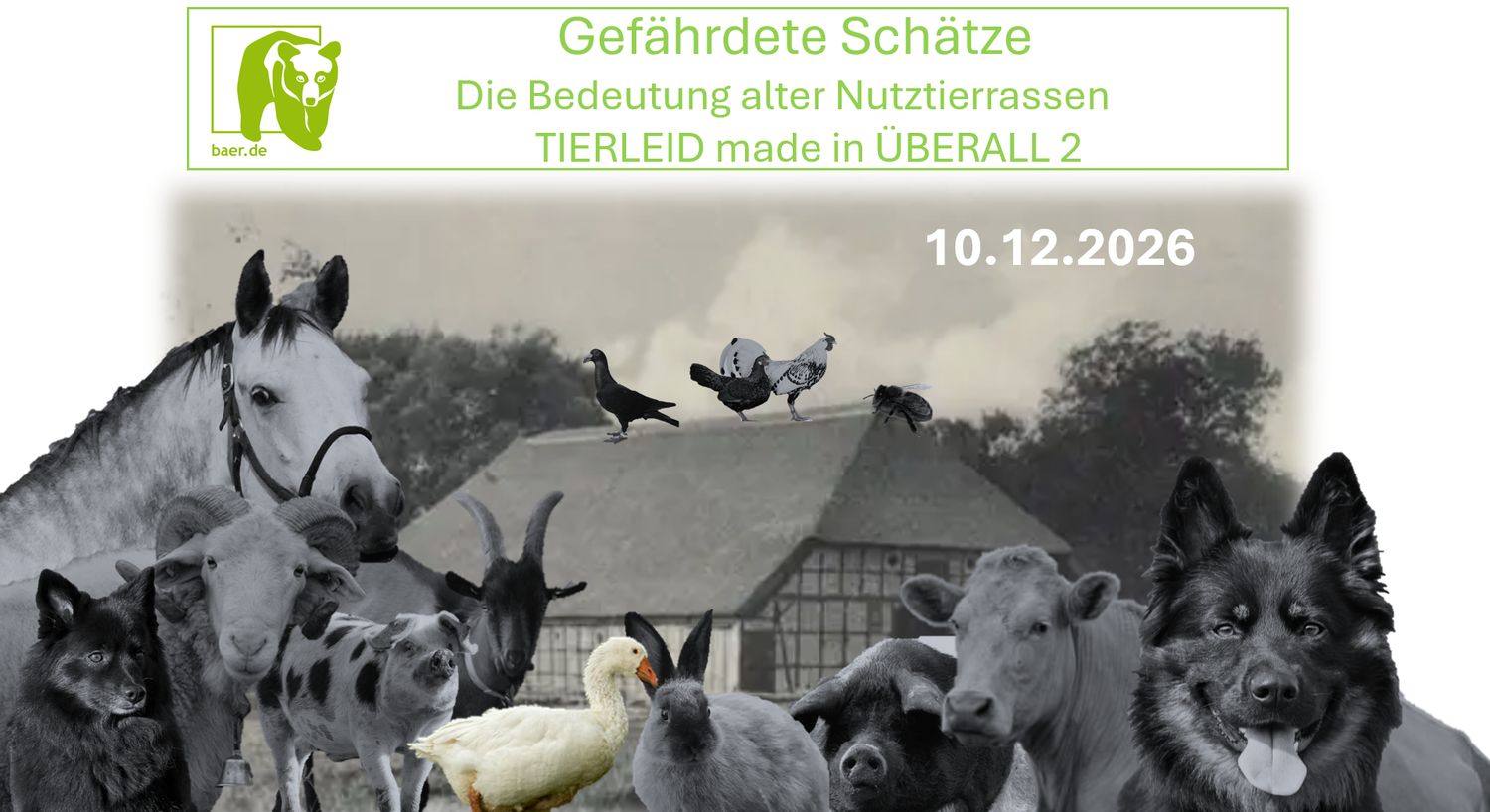 Gefährdete Schätze - Die Bedeutung alter Nutztierrassen