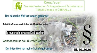 Kreuzfeuer - Der Wolf zwischen Schlagzeile und Schutzstatus