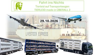 Fahrt ins Nichts - Tierleid auf Transportwegen