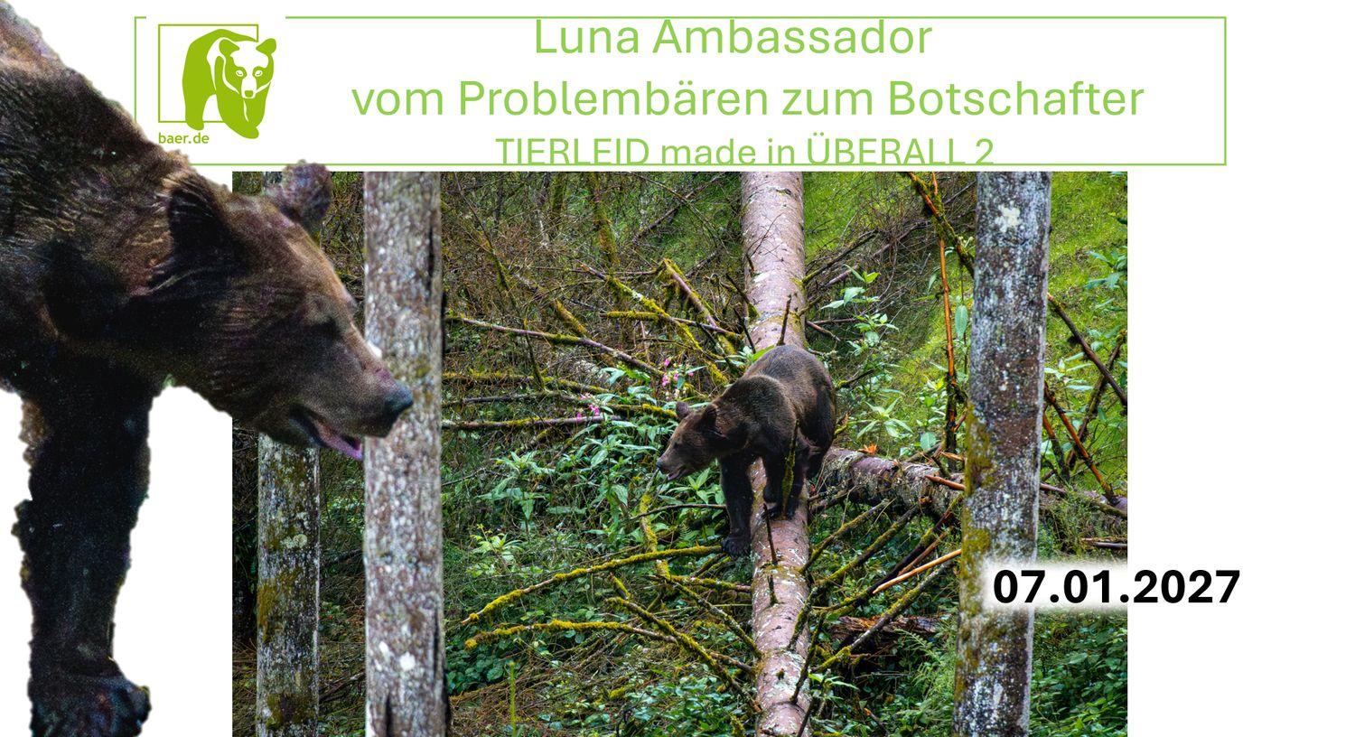 Luna Ambassador  - Vom Problembären zum Botschafter