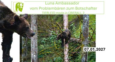 Luna Ambassador - Vom Problembären zum Botschafter Luna Ambassador - Vom Problembären zum Botschafter