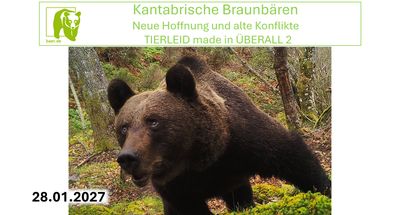 Kantabrische Braunbären - neue Hoffnung und alte Konflikte Kantabrische Braunbären - neue Hoffnung und alte Konflikte