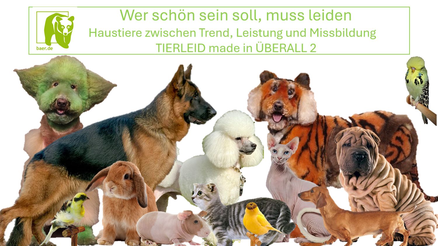 Wer schön sein soll, muss leiden