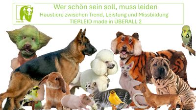 Wer schön sein soll, muss leiden