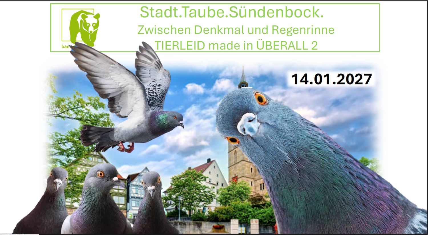 Stadt.Taube.Sündenbock. - Zwischen Denkmal und Regenrinne