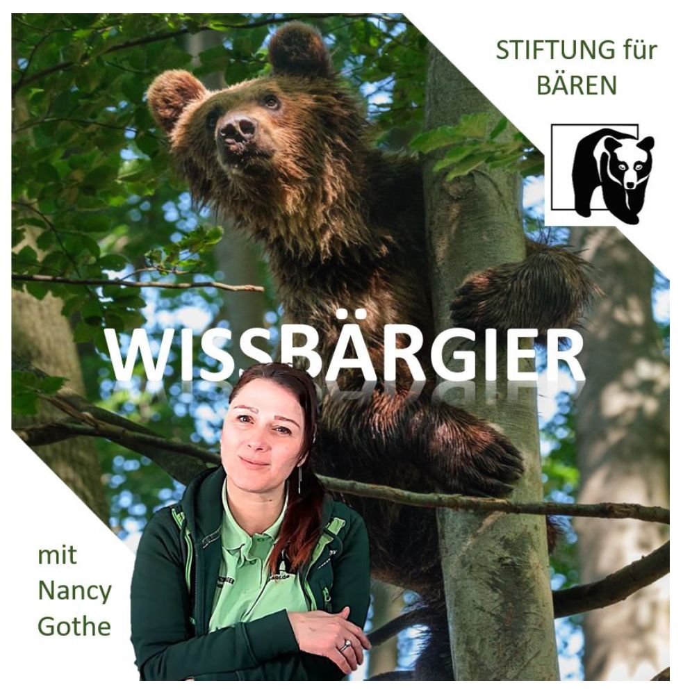 Podcast WissBärGier Folge 21: Sommerspazierung mit Gänsehaut-Feeling