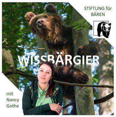 Podcast WissBärGier Folge 23: Lautloser Jäger - Der Kanadische Luchs Podcast WissBärGier Folge 23: Lautloser Jäger - Der Kanadische Luchs