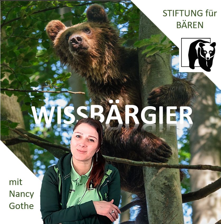 Podcast WissBärGier Folge 26: Mykhailo und Katja - ein BärensommerAbenteuer