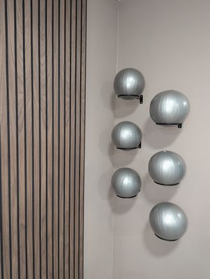 BED - Exercise Balls
