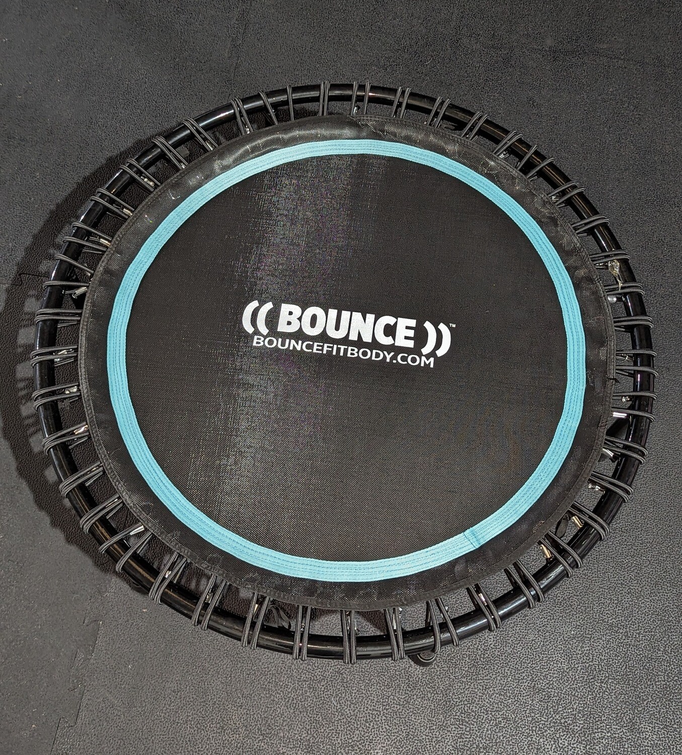 Instructor: Bungee Trampoline