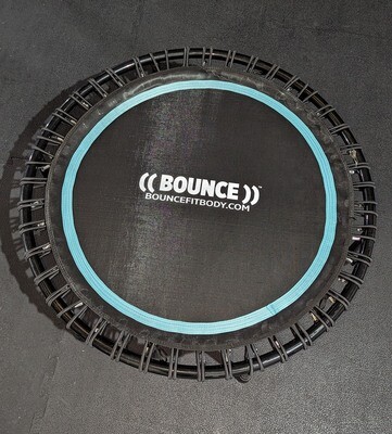 Instructor: Bungee Trampoline