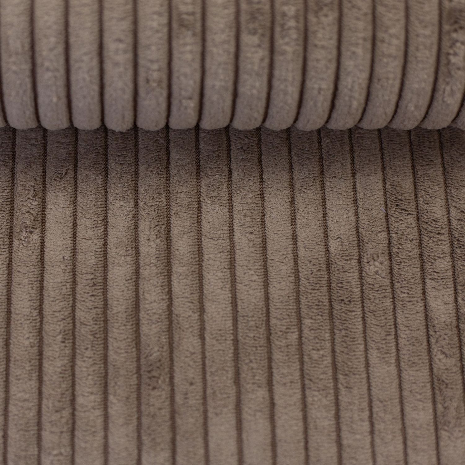 Cord, Swafing, Wanja, beige